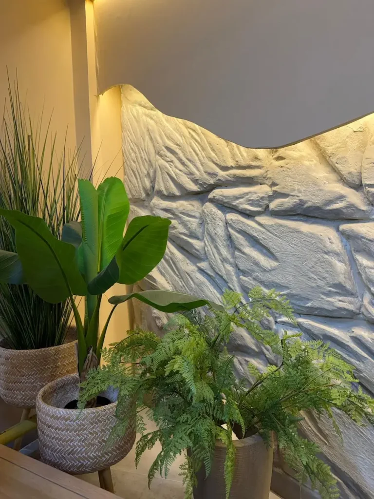 Vista de cerca de un rincón de estudio de manicura con una pared de textura de piedra retroiluminada, mostrando una planta de plátano en una maceta de mimbre, un helecho exuberante y otras plantas verdes.